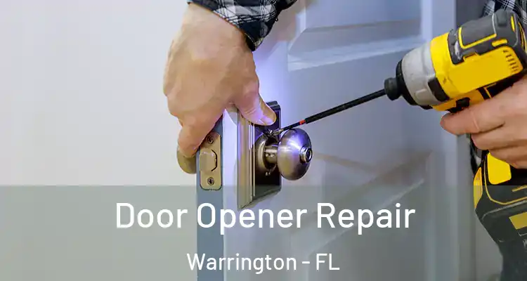  Door Opener Repair Warrington - FL