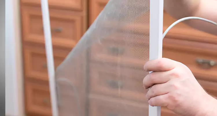 Privacy Mesh Screen Door Installation in Warrington, FL